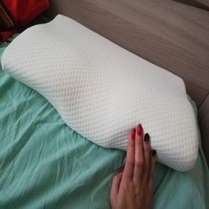 Wilhelmina, 65 — Den Haag